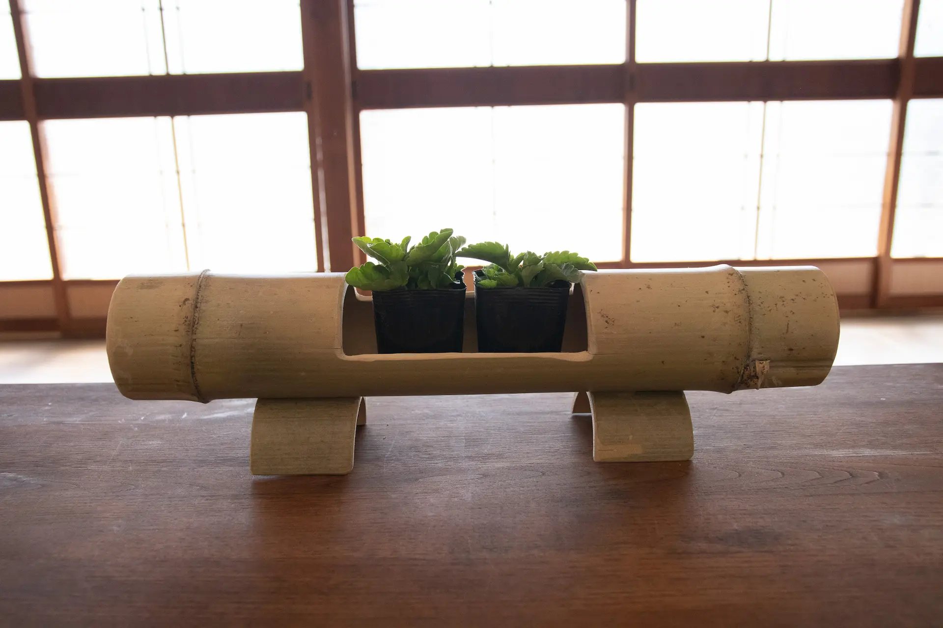 朝日山の竹を使った花器