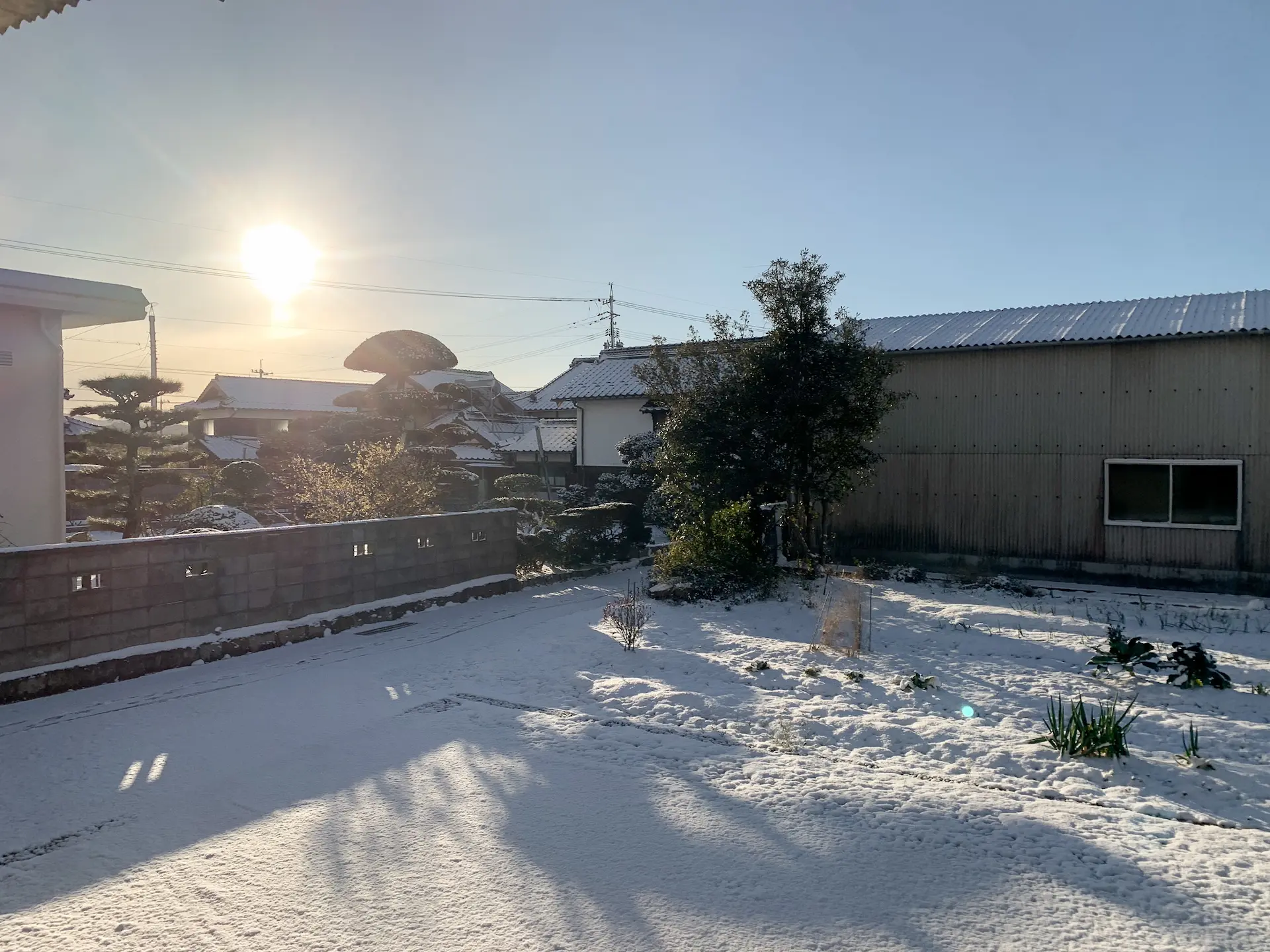 雪が積もった日の様子